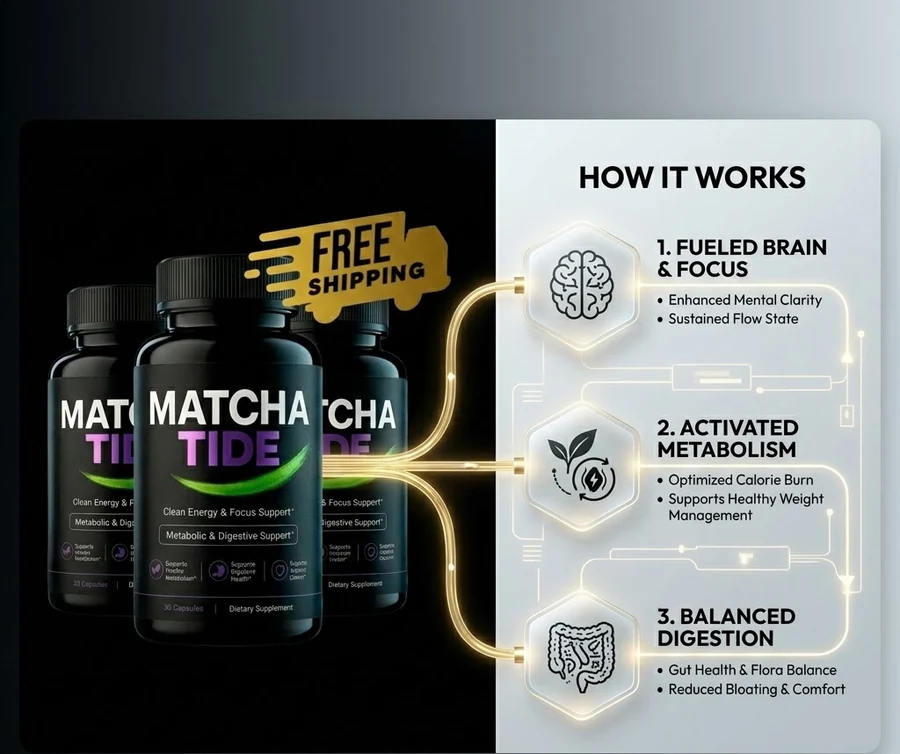 MatchaTide metabolism and digestion support diagram